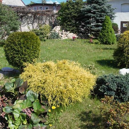 Domek u Domny Kowary Dış mekan fotoğraf